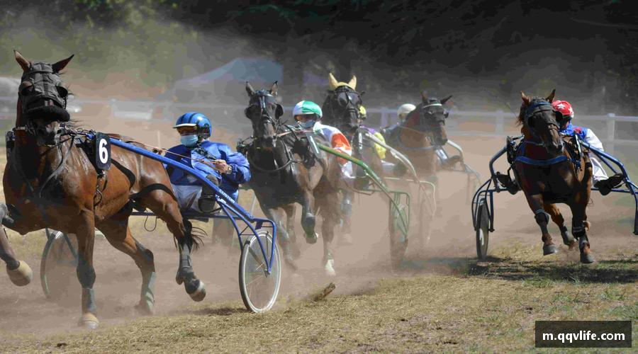 洞察币游国际首页